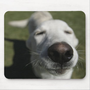 Santa Fe, New Mexico Mousepad