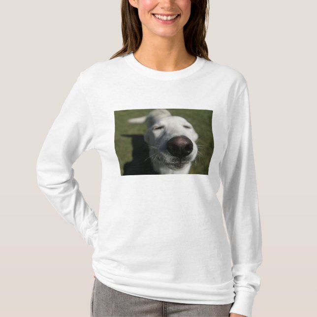 Santa Fe, New Mexico T-Shirt (Vorderseite)