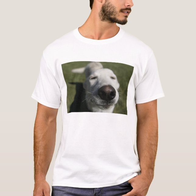 Santa Fe, New Mexico T-Shirt (Vorderseite)
