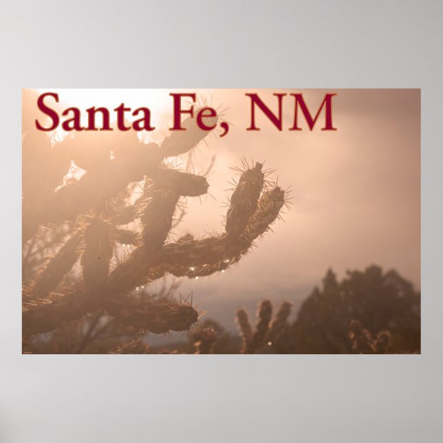 Santa Fe Serenity: Cholla Cactus at Sunset Poster (Vorne)