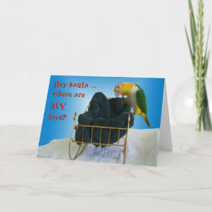 Santa Feiertagskarte