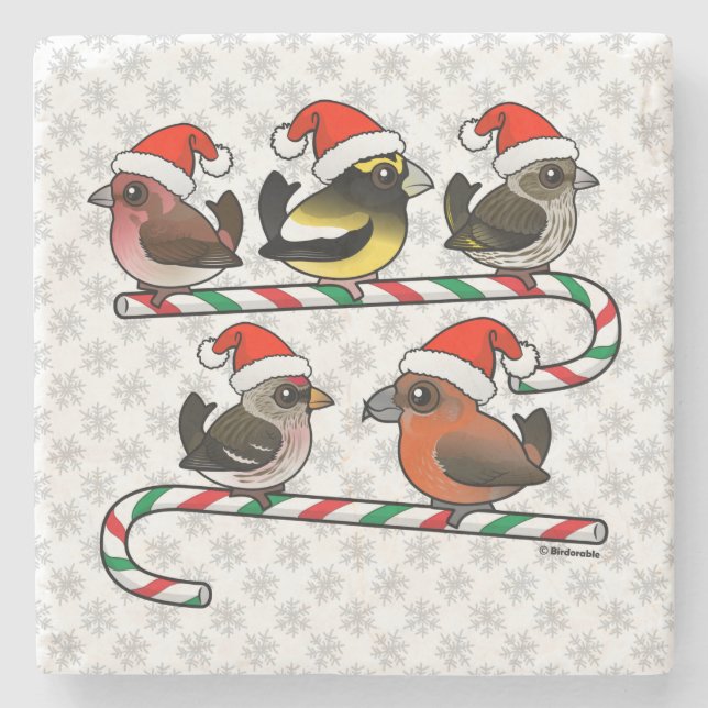 Santa Finches Steinuntersetzer (Vorderseite)