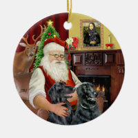 Santa - Flat Coated Retriever