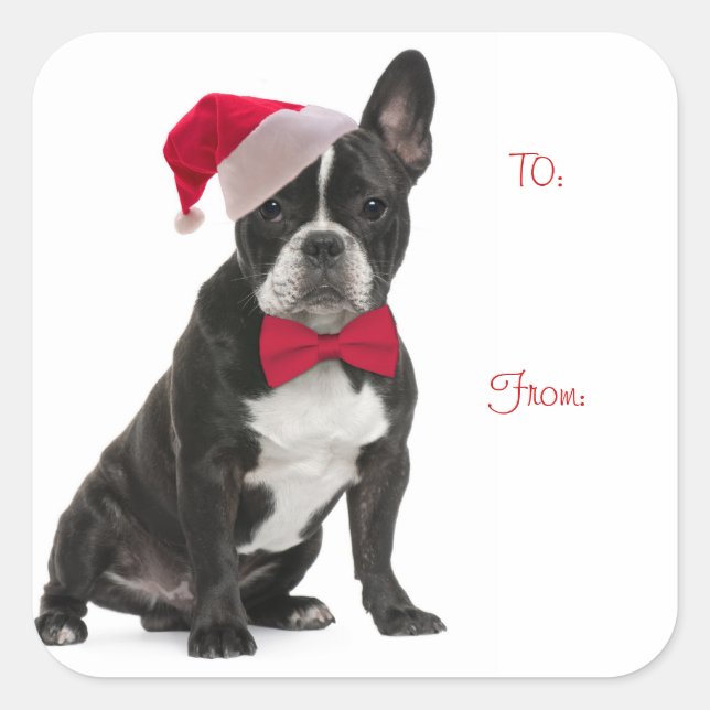Santa Frenchie Gift Tags Quadratischer Aufkleber (Vorderseite)