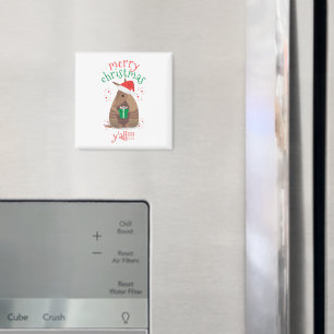 Santa Gift Gift Armadillo Texas Magnet