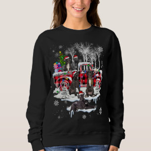 Santa Great Dane mit Kariertem Rot Pick Up LKW Xma Sweatshirt