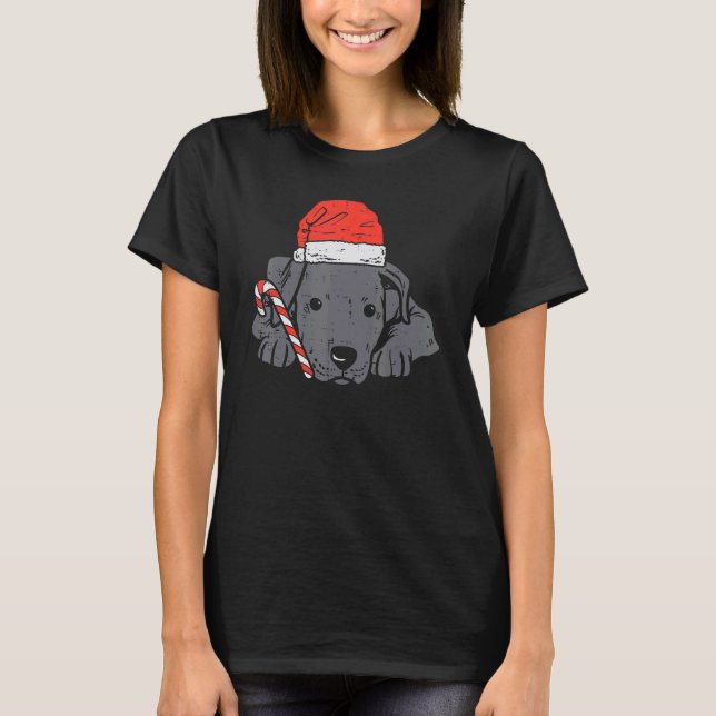 Santa Hat Pitbull Pit Dog Christmas Xmas Women Kid T-Shirt (Vorderseite)