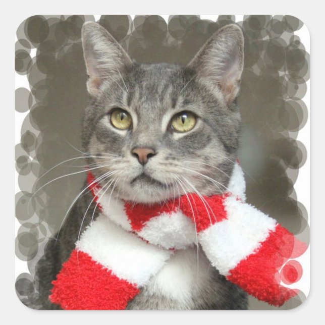Santa Helper Cat Aufkleber (Vorderseite)