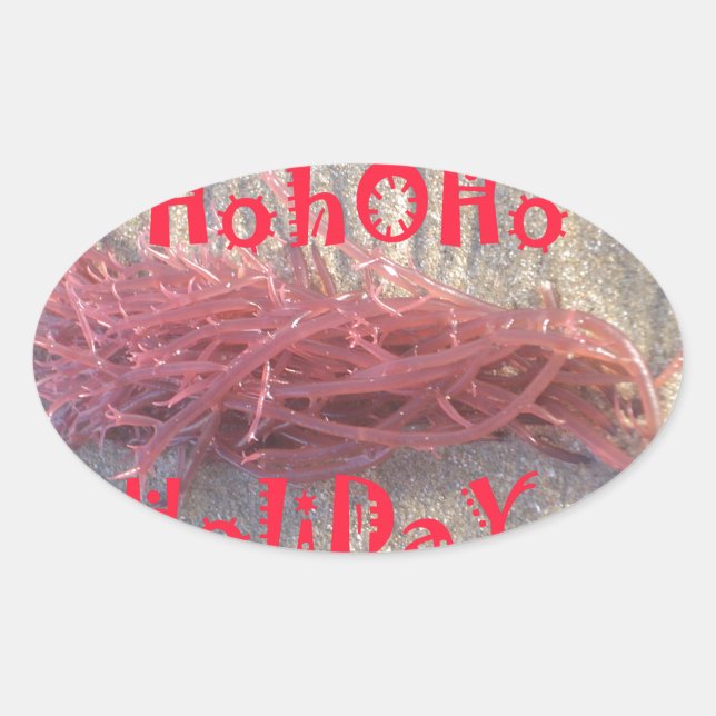 Santa HoHoHo Frohe Weihnachten aus den Farben am S Ovaler Aufkleber (Vorderseite)