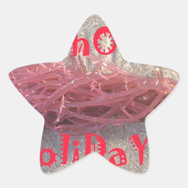 Santa HoHoHo Frohe Weihnachten aus den Farben am S Stern-Aufkleber (Vorderseite)