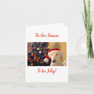 Santa Hut Bull Terrier, Es ist die Jahreszeit Karte
