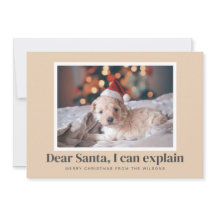 Santa, ich kann lustiges Foto von Haustieren erklä