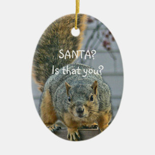 "SANTA, IST DAS DU?" BREITE - MIT AUGEN SQUIRREL O KERAMIK ORNAMENT