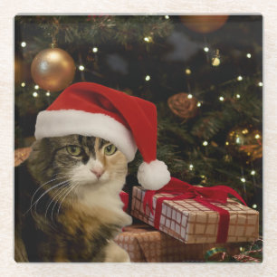 Santa Katze am Weihnachtsbaum Glasuntersetzer