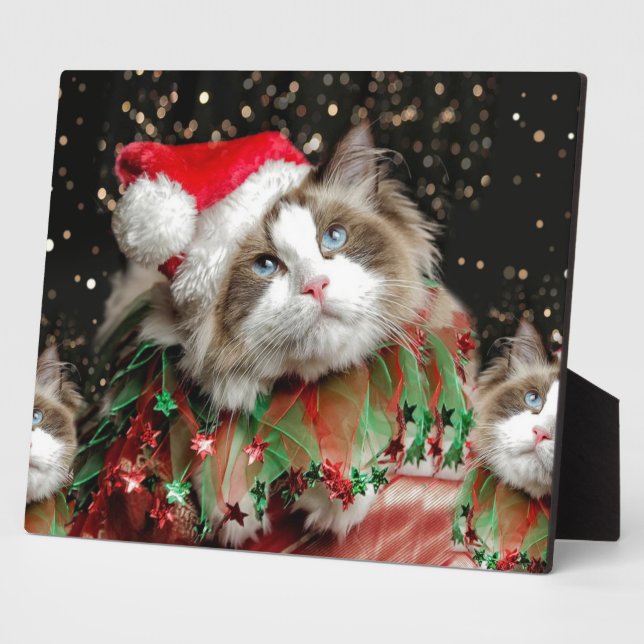Santa Katze Fotoplatte (Seite)