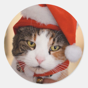 Santa Kitty   Christmas Pookie der Katze Runder Aufkleber