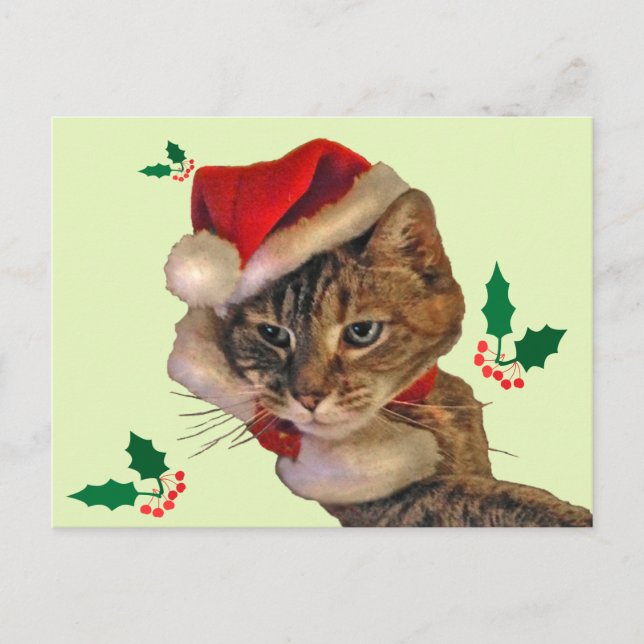 Santa Kitty mit Holly Feiertagspostkarte (Vorderseite)