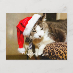 Santa Kitty Painterly Feiertagspostkarte