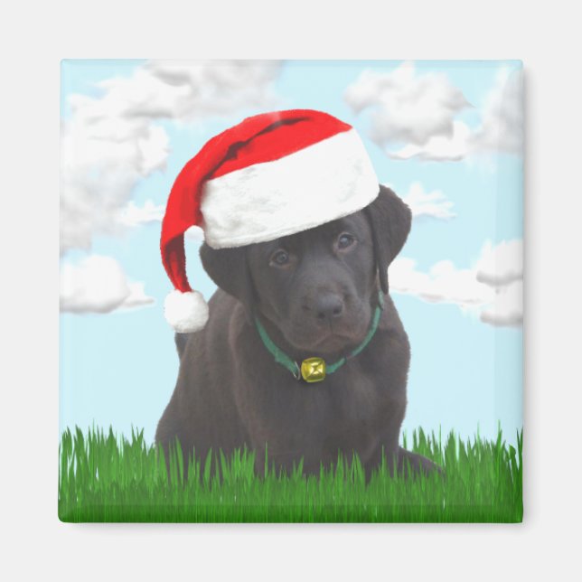 Santa Labrador Magnet (Vorne)