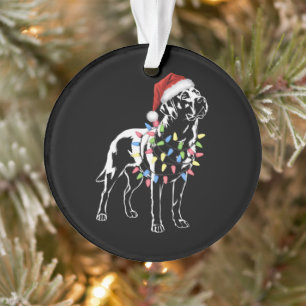 Santa Labrador Retriever Christmas Light Hund Love Ornament