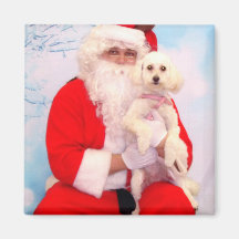 Santa Liebe Hunde