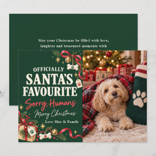 Santa liebster lustiger Hund Weihnachtsfoto Feiertagskarte