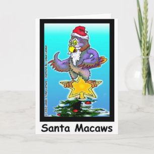 Santa Macaws Weihnachtsgeschenke & T-Shirts Feiertagskarte