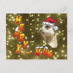 Santa Meerkat Frory Christmas Sparkling Postkarte