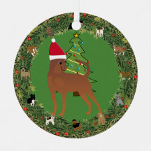 Santa Miniature Pinscher