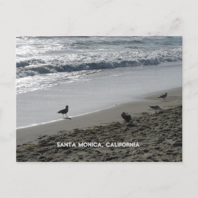 Santa Monica, kalifornische Postkarte (Vorderseite)