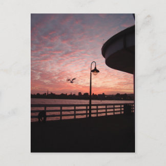 Santa Monica Pink Postkarte