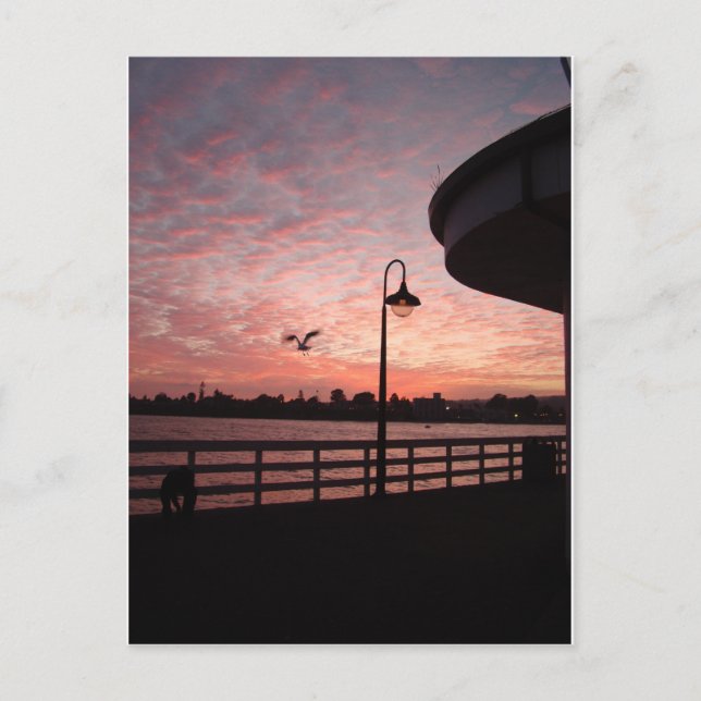 Santa Monica Pink Postkarte (Vorderseite)