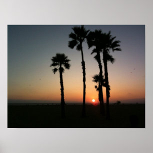 Santa Monica Sonnenuntergang Poster
