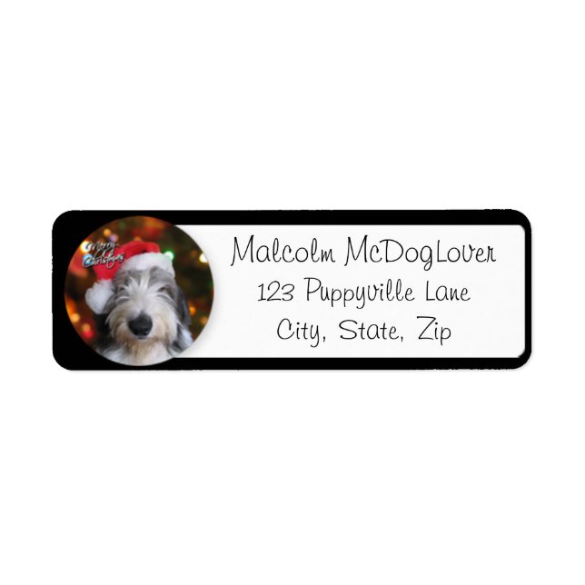 Santa Old English Sheepdog (Vorne)