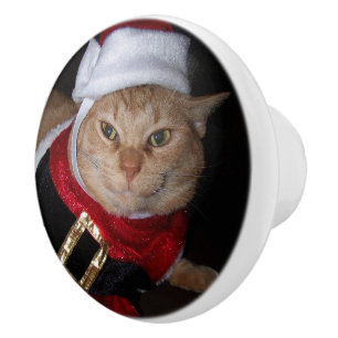 Santa Orange Tabby Cat Knob Keramikknauf