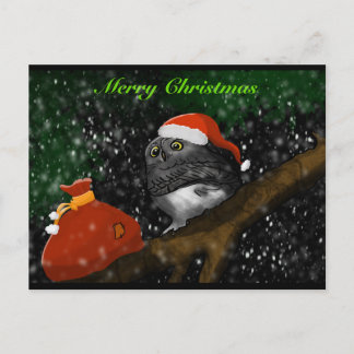 Santa Owl Christmas Card Feiertagspostkarte