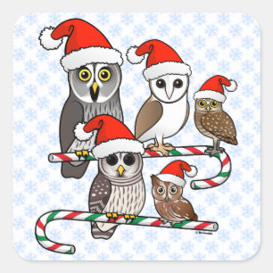 Santa Owls Quadratischer Aufkleber