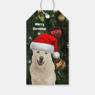 Santa Paws - Crystal the Husky Dog Personalisiert Geschenkanhänger
