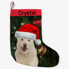 Santa Paws - Crystal the Husky Dog Personalisiert Kleiner Weihnachtsstrumpf