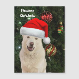 Santa Paws - Crystal the Husky Dog Weihnachten Magnetkarte