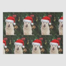 Santa Paws - Crystal the Husky Dog Weihnachten