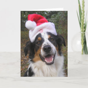 "Santa Paws" Feiertagskarte
