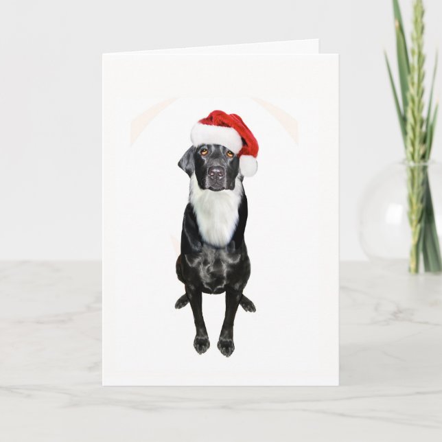 Santa Paws Feiertagskarte (Vorderseite)