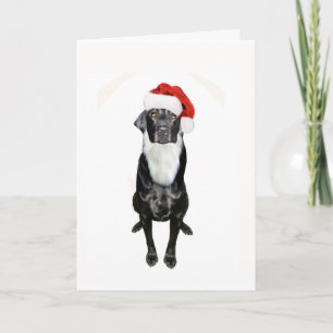 Santa Paws Feiertagskarte