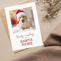 Santa Paws fertig und gewartet - Hundebhaberin Wei