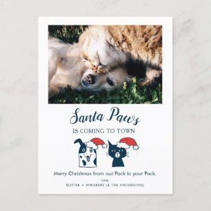 Santa Paws   Funny Cat and Dog Pet Foto Feiertagspostkarte