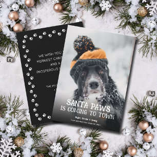 Santa Paws Hunde-Foto Weihnachten