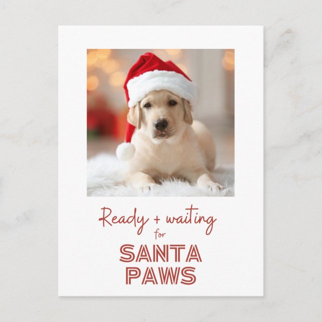 Santa Paws - Hundefreund Weihnachten (Vorderseite)