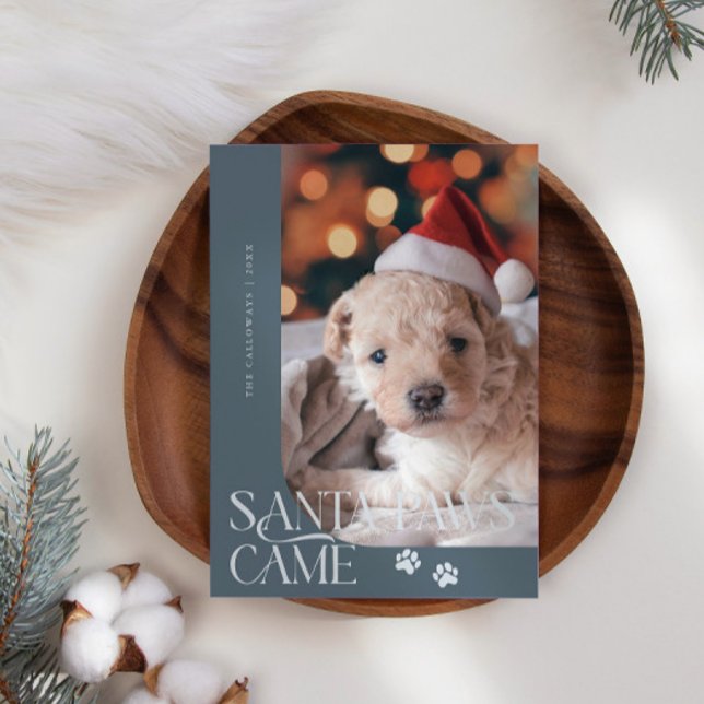 Santa Paws kam Dog Foto Slate Blue Weihnachten (Von Creator hochgeladen)