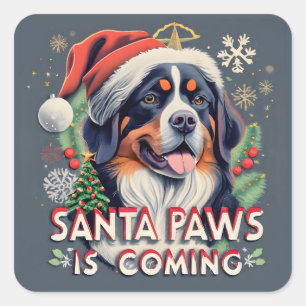 Santa Paws kommt Bernese Dog Weihnachten Quadratischer Aufkleber